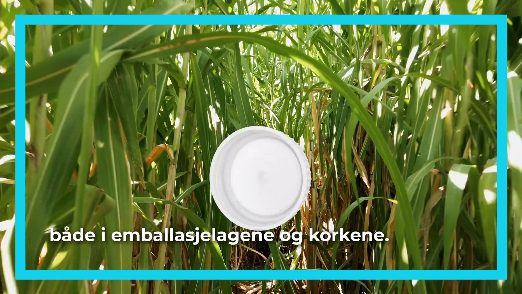Plantebasert emballasje